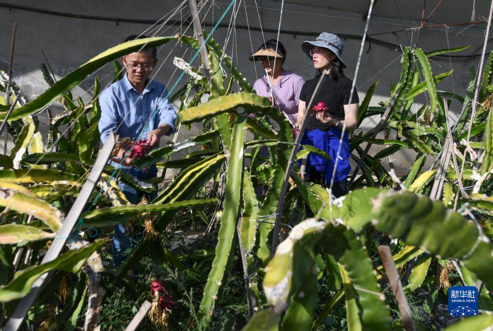百佬汇线上官网